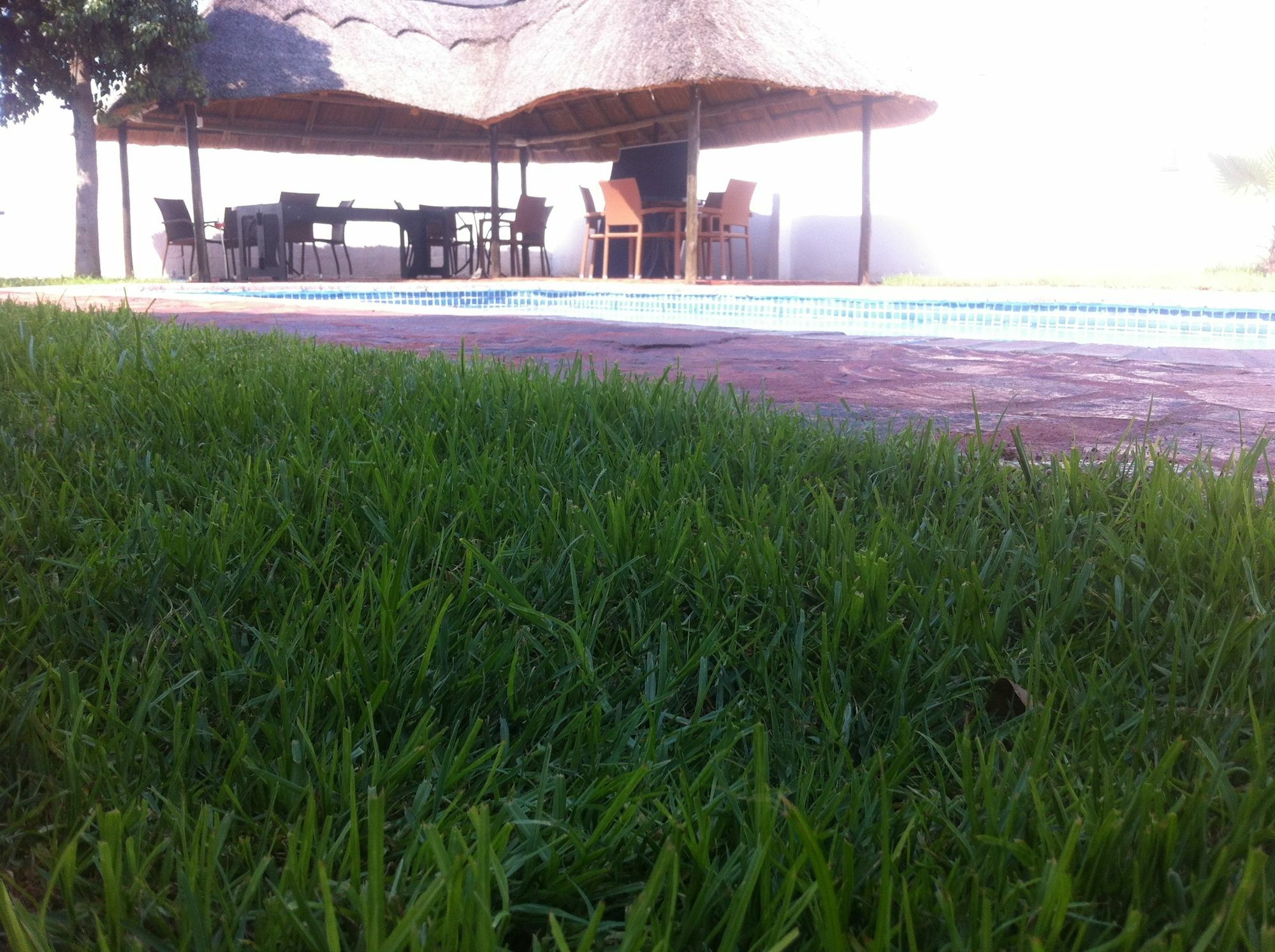 Cosy Palms Bed & Breakfast Gaborone Exterior foto