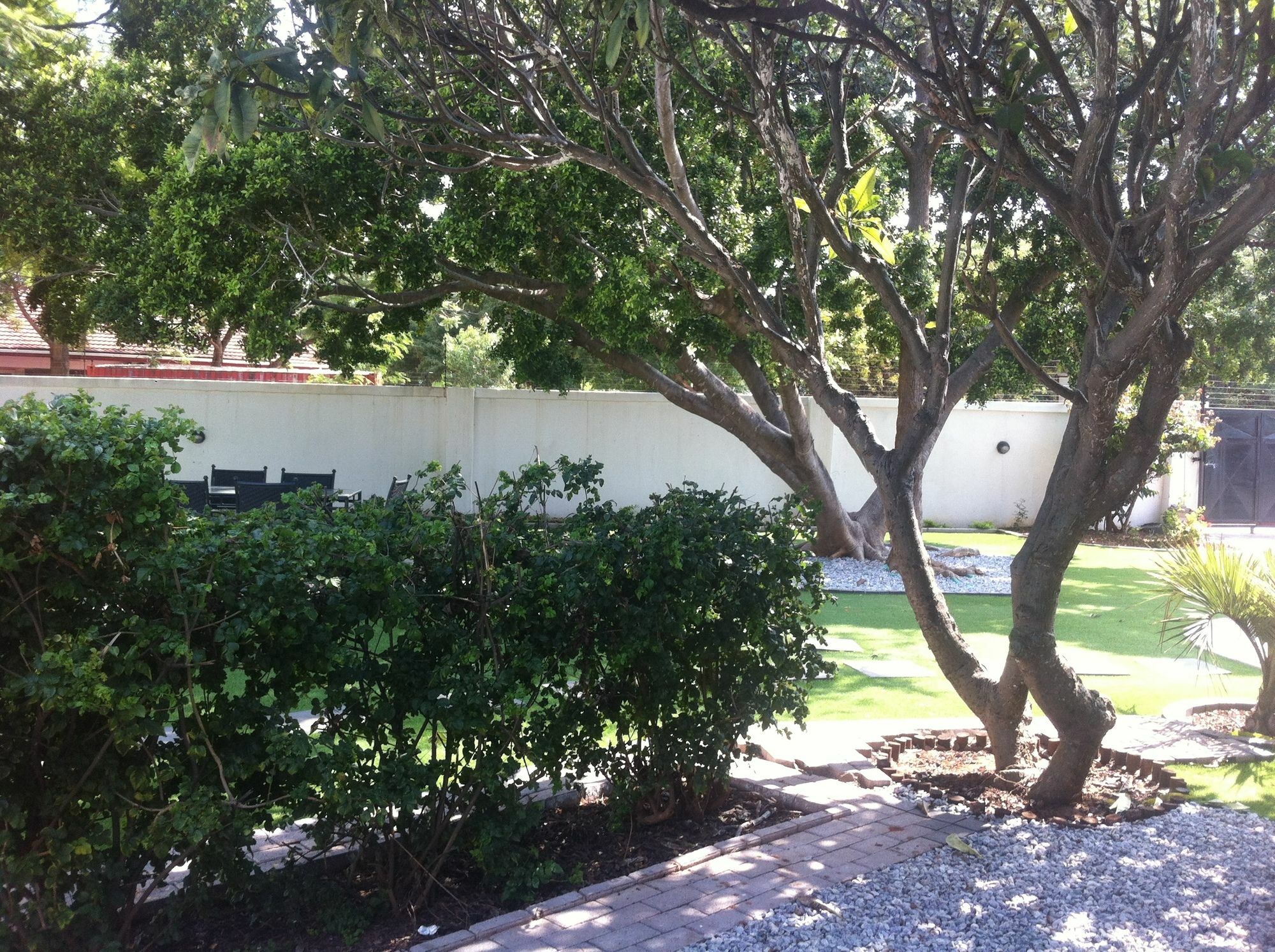 Cosy Palms Bed & Breakfast Gaborone Exterior foto